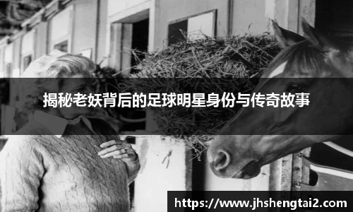 Lewin乐玩